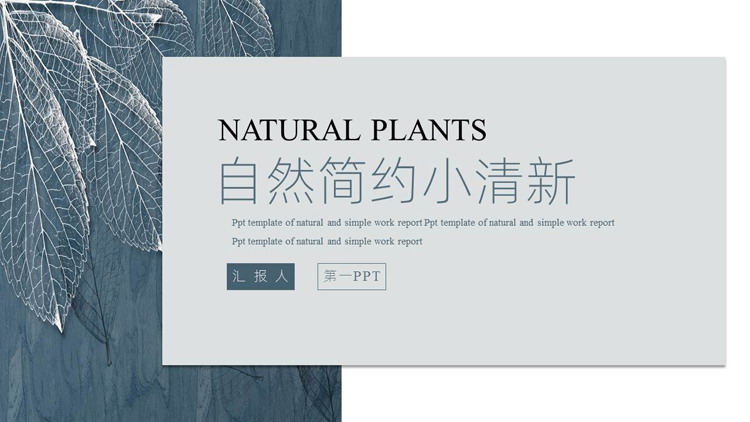 图片[1]-蓝色自然简约小清新树叶纹理背景商务汇报PPT模板-第一PPT
