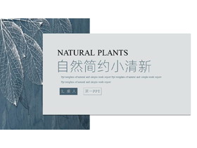 蓝色自然简约小清新树叶纹理背景商务汇报PPT模板-第一PPT