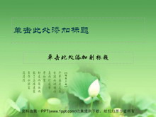 淡雅荷花PPT模板下载-第一PPT
