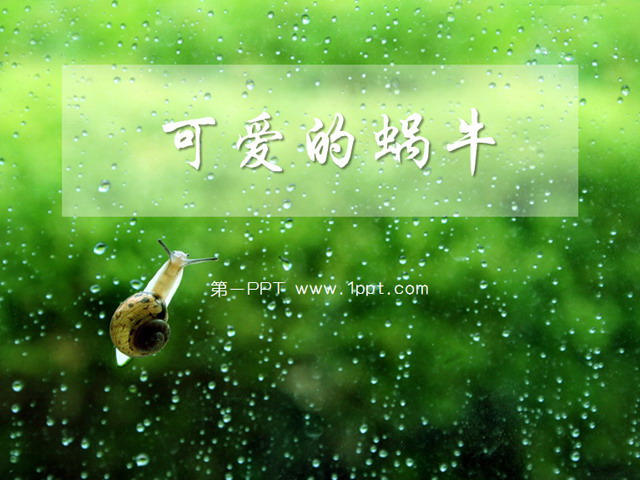 图片[1]-可爱蜗牛动物PPT模板下载-第一PPT