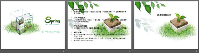 图片[2]-清新淡雅的春季植物PPT模板-第一PPT