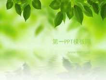 淡雅韩国树叶PPT模板下载-第一PPT