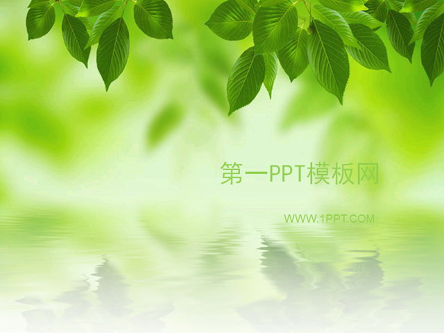 图片[1]-淡雅韩国树叶PPT模板下载-第一PPT