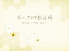 淡雅蜜蜂背景PPT模板下载-第一PPT