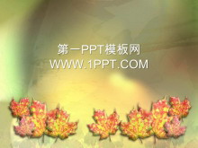 秋天的枫叶背景PPT模板下载-第一PPT