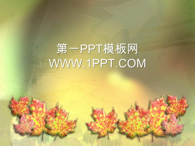 图片[1]-秋天的枫叶背景PPT模板下载-第一PPT