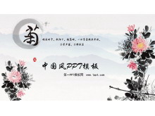 淡雅菊花背景PPT模板下载-第一PPT