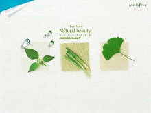 蔬菜植物背景的韩国PPT模板下载-第一PPT