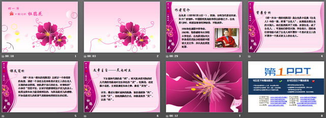 图片[2]-杜鹃花PPT模板下载-第一PPT