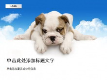 可爱的狗狗背景动物PPT模板下载-第一PPT