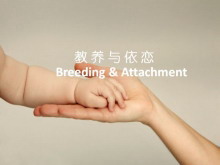 宝宝的教养与依恋PowerPoint幻灯片下载-第一PPT