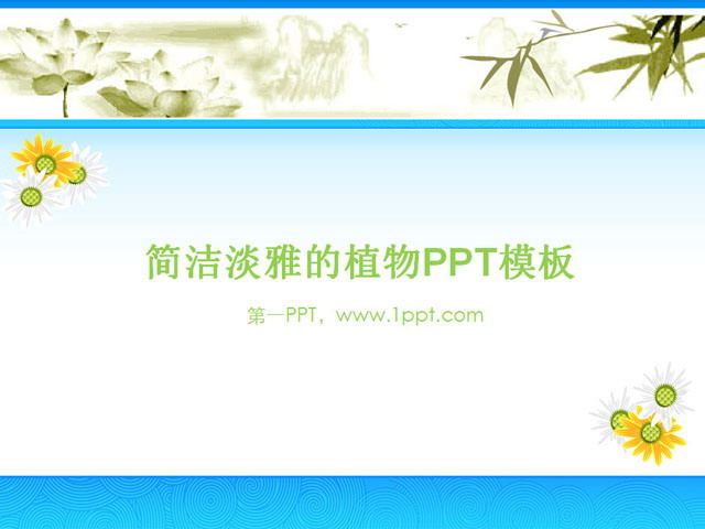 图片[1]-淡雅菊花背景植物PPT模板下载-第一PPT