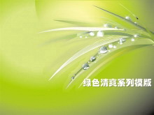 绿色清爽植物背景PowerPoint模板下载-第一PPT