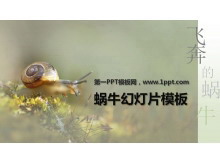 清新淡雅的蜗牛PowerPoint模板下载-第一PPT