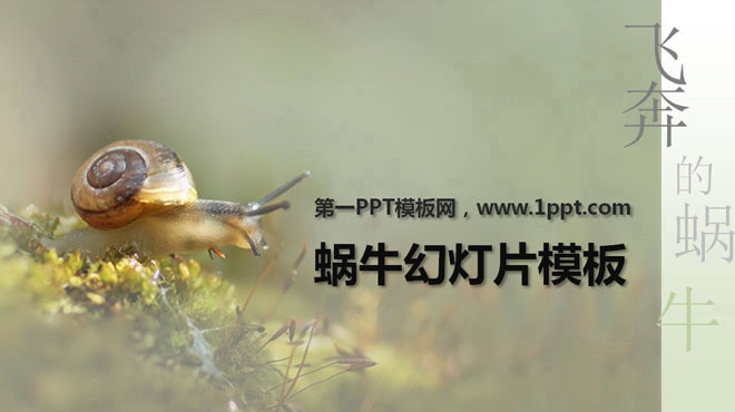 图片[1]-清新淡雅的蜗牛PowerPoint模板下载-第一PPT