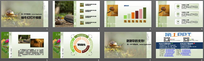 图片[2]-清新淡雅的蜗牛PowerPoint模板下载-第一PPT