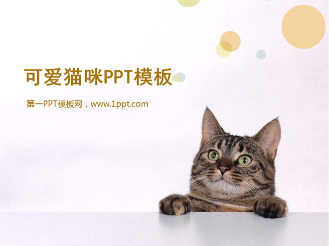 图片[1]-可爱猫咪幻灯片模板下载-第一PPT