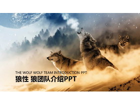狼群背景的狼性团队文化PPT模板-第一PPT