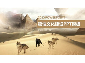沙漠狼群背景的狼性公司团队文化PPT模板-第一PPT