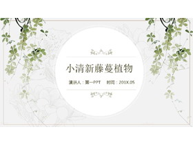 精致淡雅清新绿色藤蔓植物背景PPT模板-第一PPT