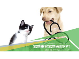 小狗小猫背景的宠物PPT模板-第一PPT