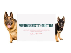 牧羊犬背景的宠物医院PPT模板-第一PPT