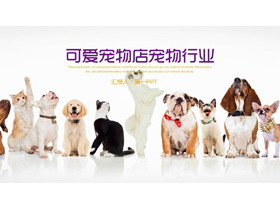 狗狗猫咪排队背景的宠物PPT模板-第一PPT