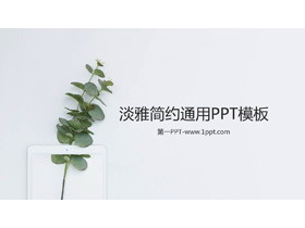 极简小清新绿色植物背景PPT模板免费下载-第一PPT