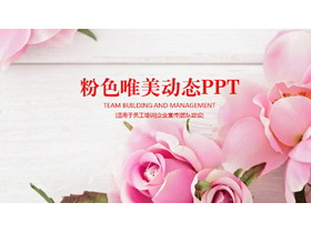 粉色唯美玫瑰背景PPT模板-第一PPT