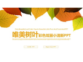 清新叶子背景的工作计划PPT模板-第一PPT