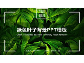 精致绿色叶子PPT模板免费下载-第一PPT