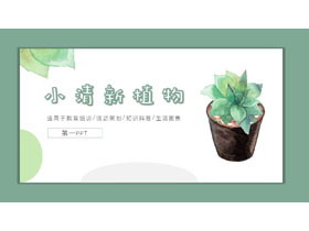 小清新水彩盆景植物背景PPT模板免费下载-第一PPT