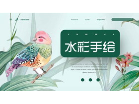 彩色水彩手绘绿叶小鸟PPT模板免费下载-第一PPT