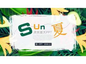 清爽夏日植物水果背景PPT模板-第一PPT