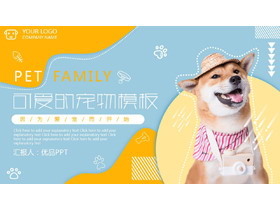 宠物狗狗背景的杂志风宠物店介绍PPT模板-第一PPT
