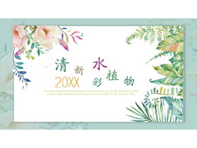 清新水彩植物叶子背景植物相册PPT模板-第一PPT