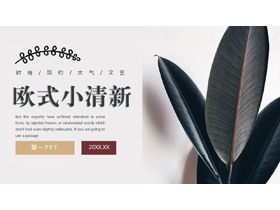 精致大气大叶植物叶子背景欧美风PPT模板-第一PPT
