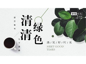 清新绿色植物与咖啡杯背景的美好时光PPT模板-第一PPT