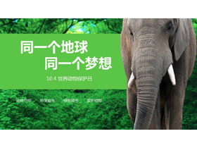 森林大象背景的世界动物日主题班会PPT模板-第一PPT