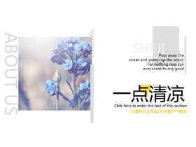 植物花卉背景的画册风夏日主题PPT模板-第一PPT