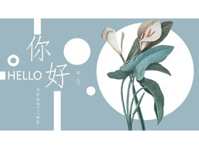 精美清新白掌植物背景的你好主题PPT模板-第一PPT