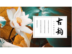 精美古韵荷花背景电子相册PPT模板-第一PPT