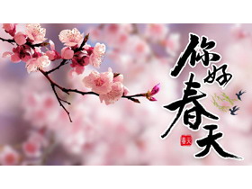 粉色桃花背景的你好春天PPT模板-第一PPT