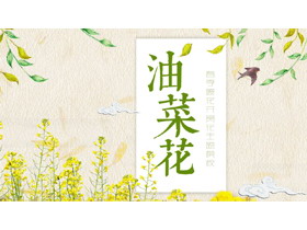 水彩油菜花PPT模板-第一PPT