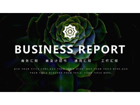 绿色多肉植物背景的商务汇报PPT模板-第一PPT