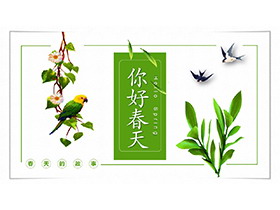绿色植物燕子鹦鹉背景的小清新你好春天PPT模板-第一PPT