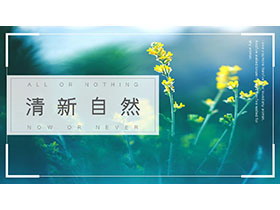 绿色清新杂志风植物鲜花PPT模板免费下载-第一PPT