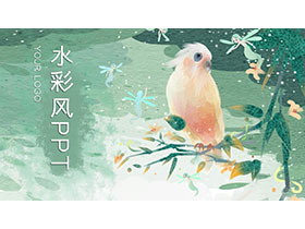 水彩鹦鹉背景的插画风PPT模板免费下载-第一PPT