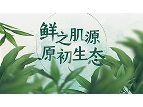 绿叶背景的化妆品产品宣传介绍PPT模板下载-第一PPT