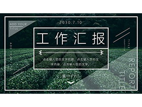 绿色茶园背景的工作汇报PPT模板免费下载-第一PPT